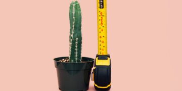 Veilige en effectieve methodes om je penis te vergroten