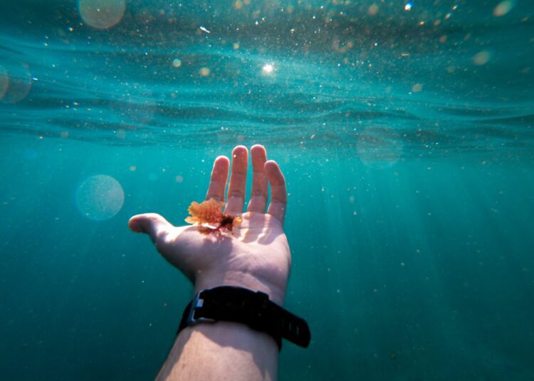 Beste waterdichte smartwatch