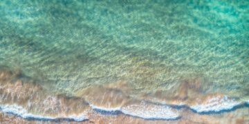 Halibut pellets en ander karpervoer